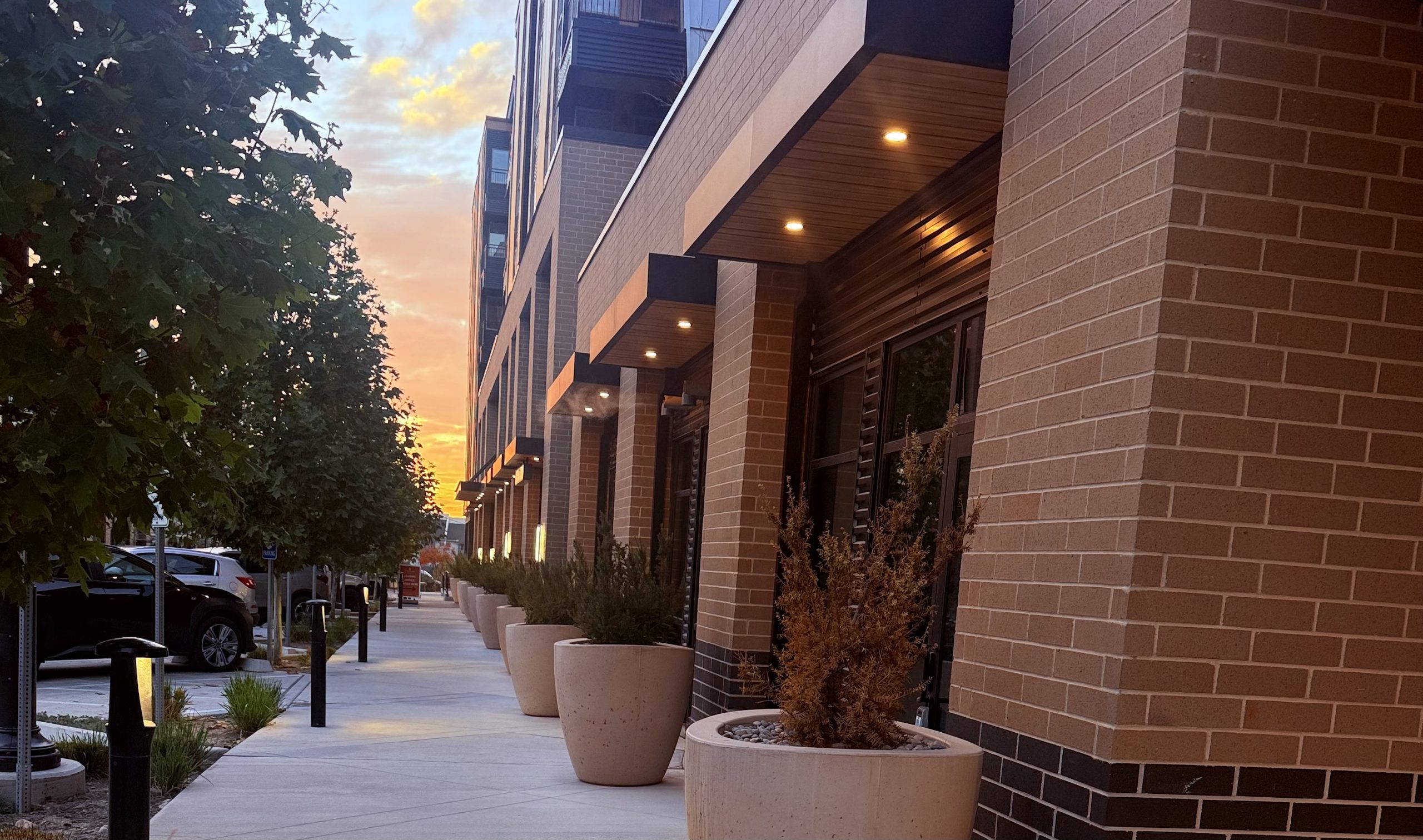 Highland walk cropped